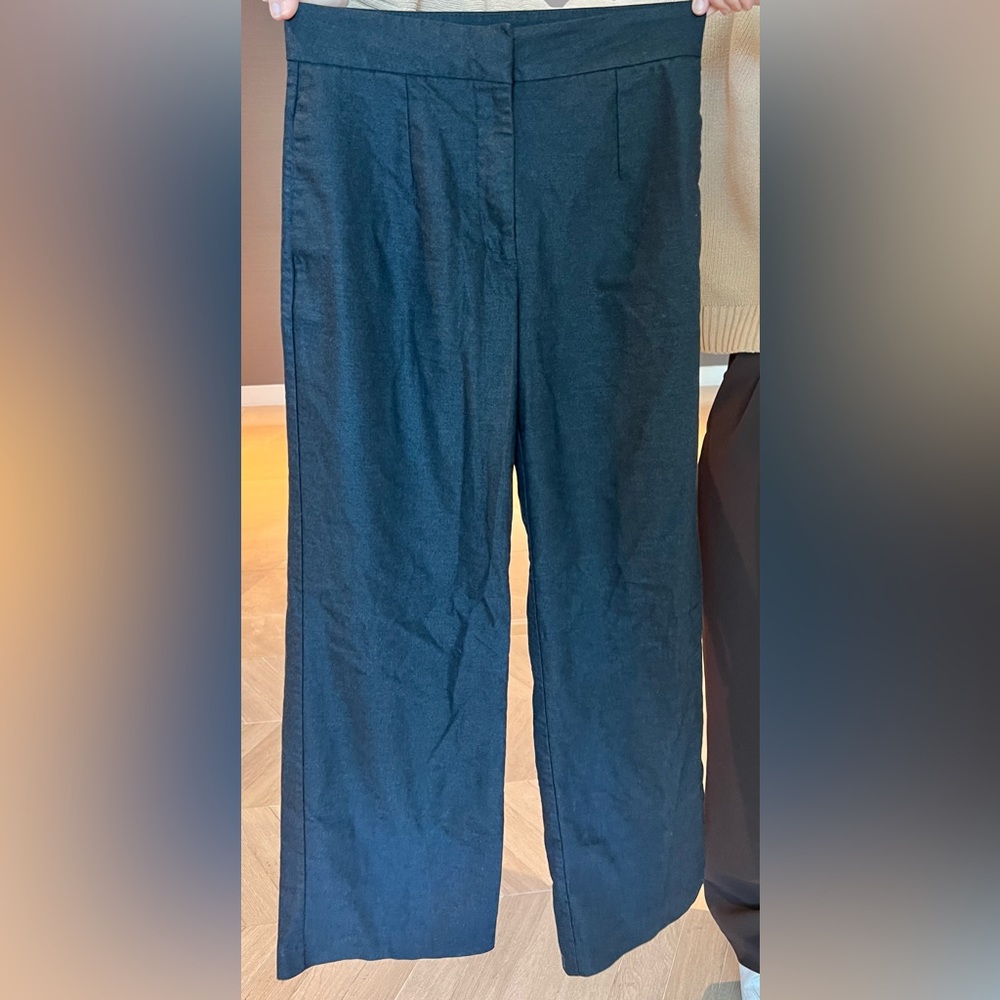 Zara Grey Pants